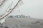2002-01-19-Winter