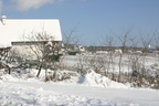 2005-02-05-Winter-Schnee