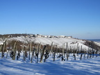 2015-01-31-Schnee-In-Eisenberg