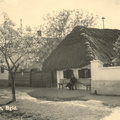 1960-Deutsch-Schuetzen-Strhogedecktes-Bauerhaus-Nr-73