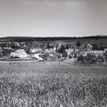 edlitz-1952